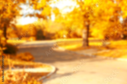 Blurred autumn park background