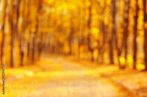 Blurred autumn park background