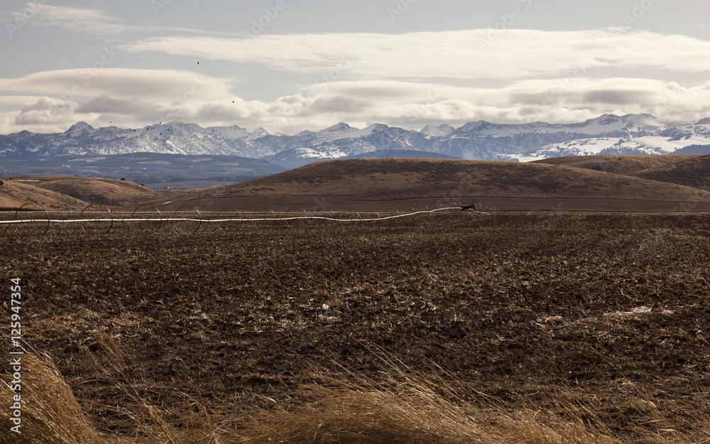 Teton farm country