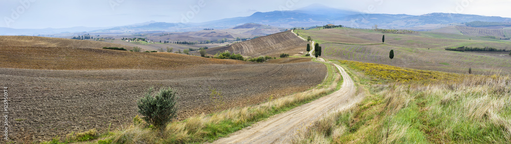 wide panorama with farm road in Tuscany