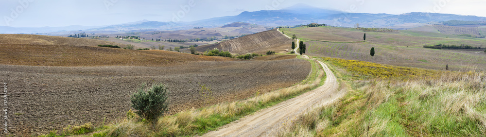 wide panorama with farm road in Tuscany wide panorama with farm road in Tuscany