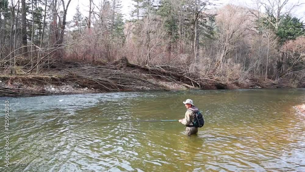 Fisherman catches of grayling in the river with the purest water Fisherman catches of grayling in the river with the purest water