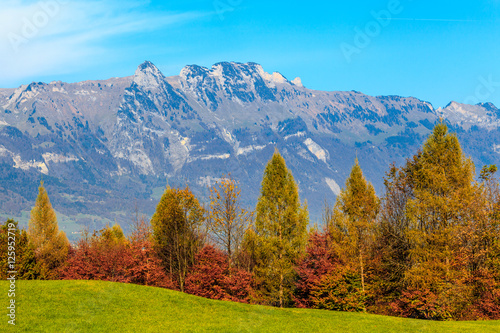 mountain autumn landscape. Colorful autumn landscape.  mountains