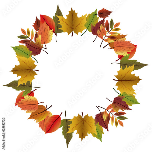 Leaves icon. Autumn season floral garden and nature theme. Vector illustration