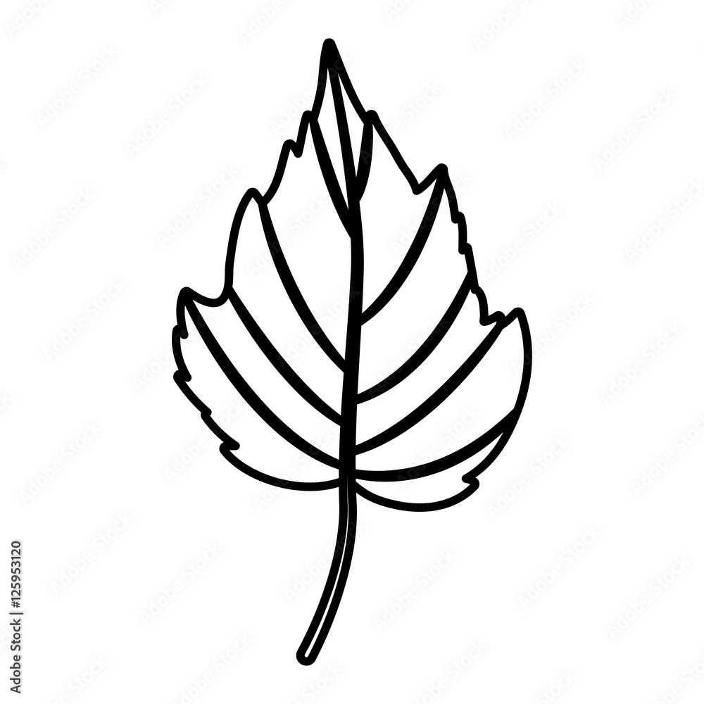 Leaf icon. Autumn season floral garden and nature theme. Vector illustration Leaf icon. Autumn season floral garden and nature theme. Vector illustration
