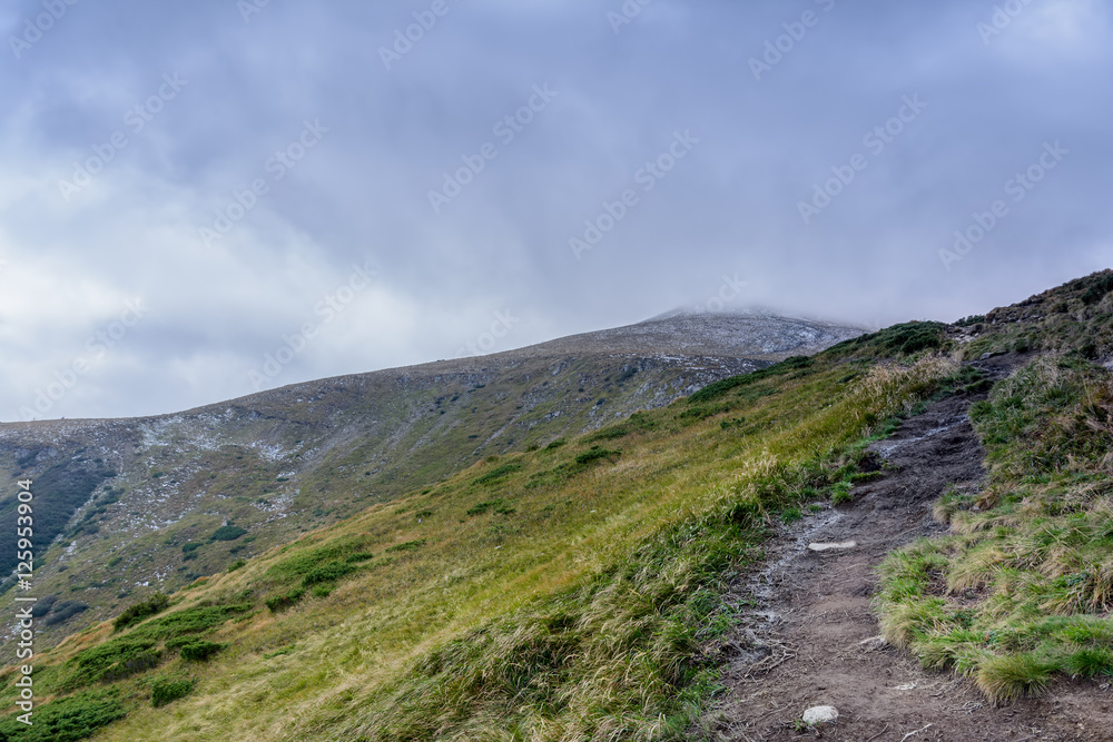 Trail to Mount Hoverla. Carpathian Mountains in Ukraine.