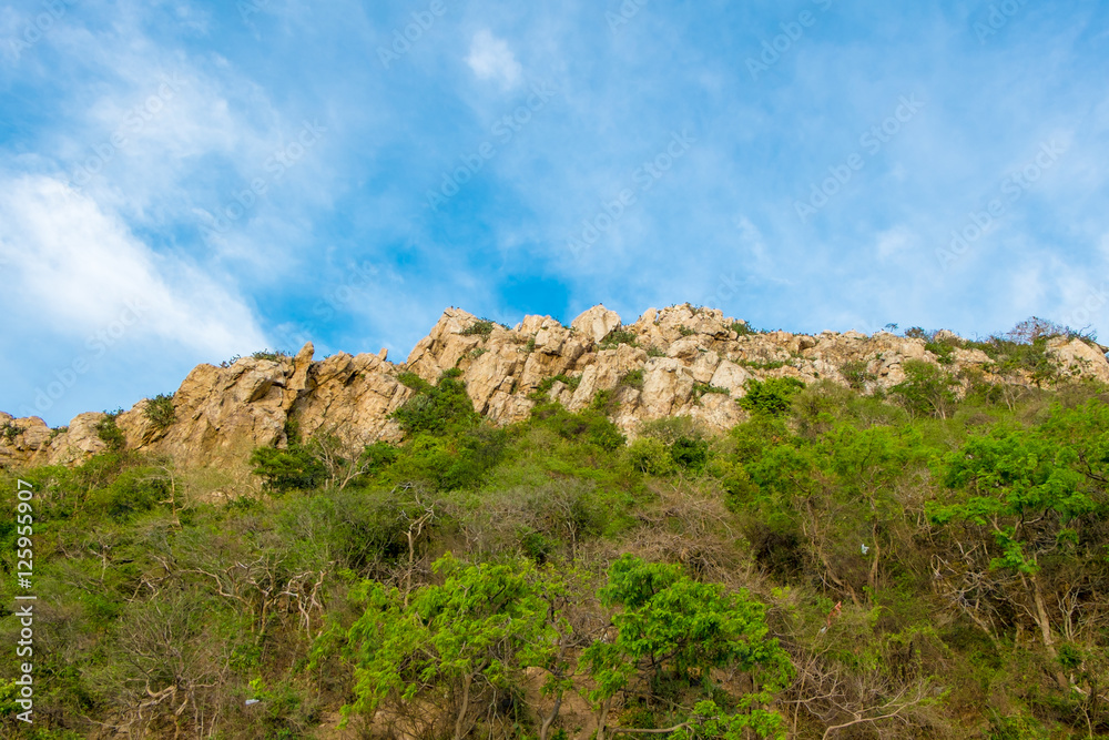 cliff .Cliff in daylight