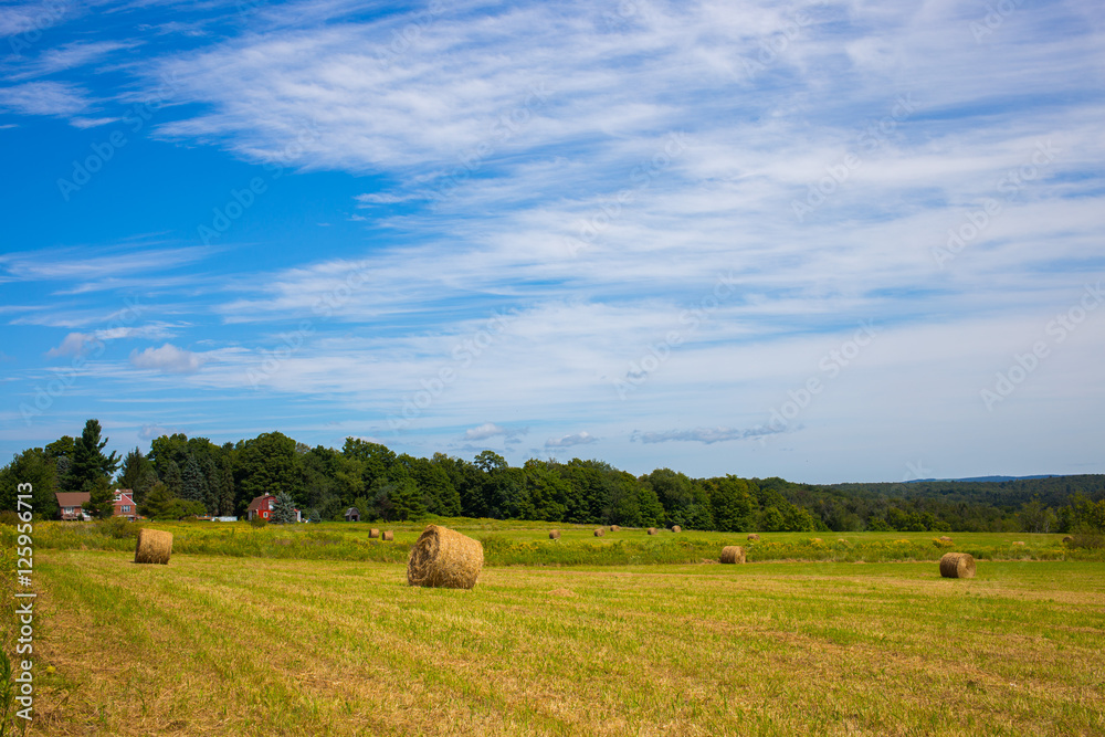 A beautiful meadow with hay rolls with blue skies
