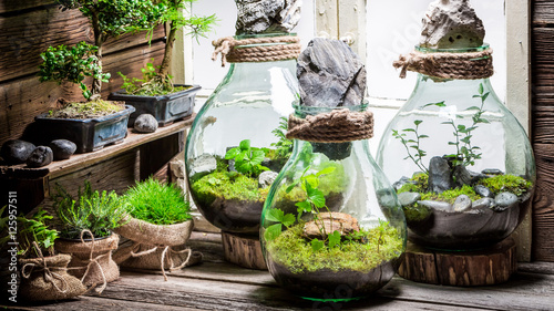 Stunning jar with piece of forest, save the earth concept photo