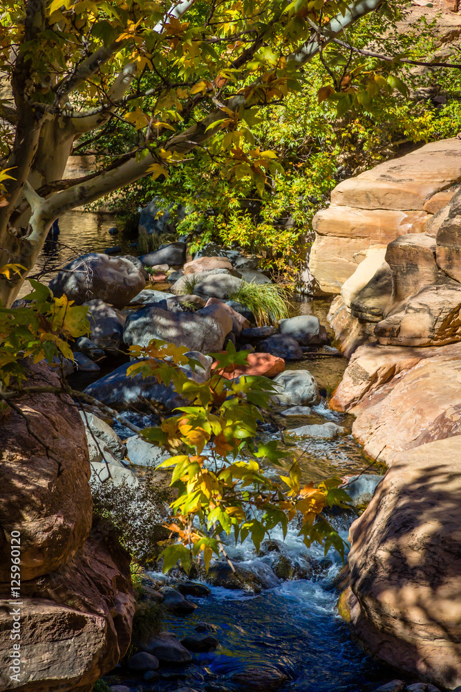 Φωτογραφία Oak Creek at Slide Rock State Park during Autumn, Oak Creek Canyon near Sedona,