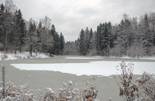 Winter landscape with frozen pond
