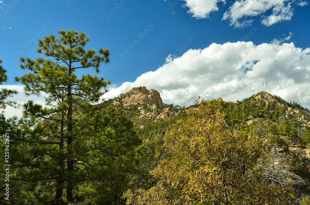 Mt Lemmon, Arizona