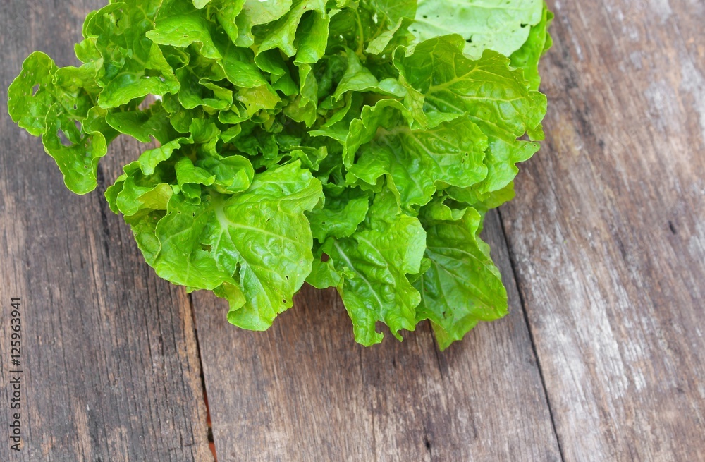 chinese cabbage organic vegetables on wooden table chinese cabbage organic vegetables on wooden table