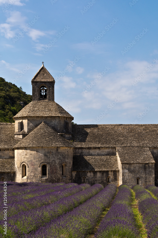 Fototapeta premium Senanque Abbey i lawendowe pole, Prowansja, Francja