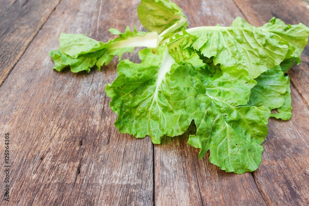 chinese cabbage organic vegetables on wooden table chinese cabbage organic vegetables on wooden table