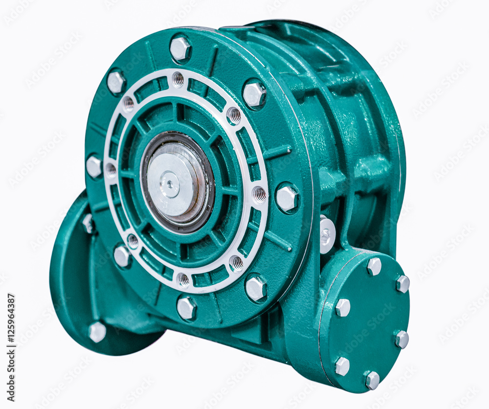 Naklejka premium Worm gear motor.