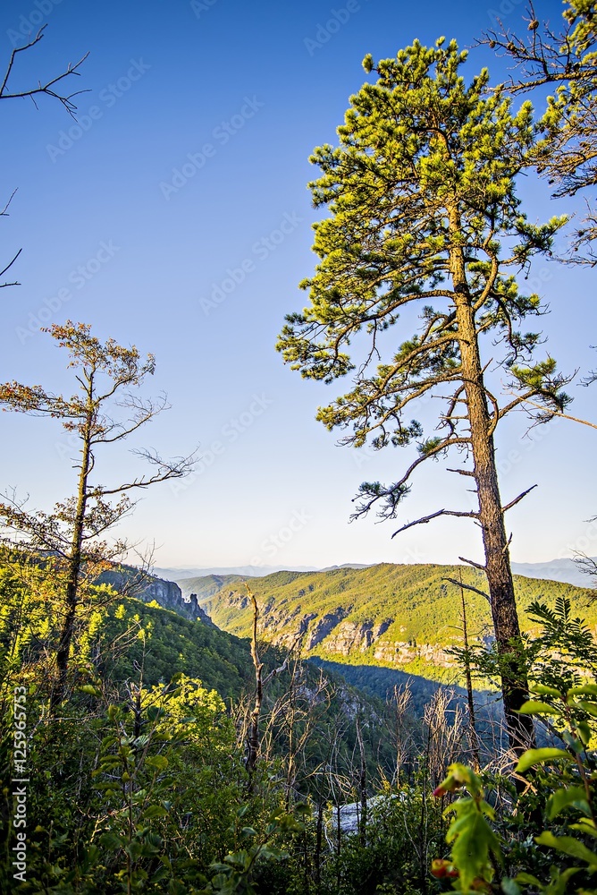 Hawksbill Mountain at Linville gorge with Table Rock Mountain la