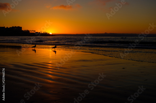 La Jolla Beach Sunset