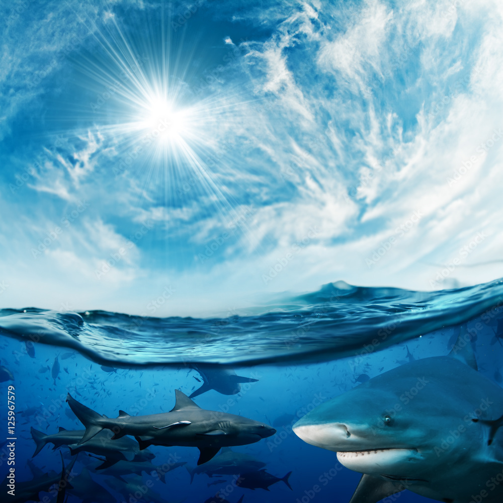 Fototapeta premium Beautiful cloudy divine background with sunlight and a lot of dangerous sharks underwater