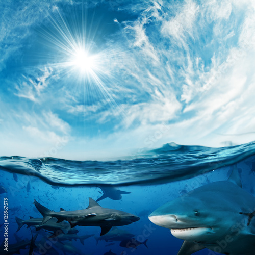 Beautiful cloudy divine background with sunlight and a lot of dangerous sharks underwater