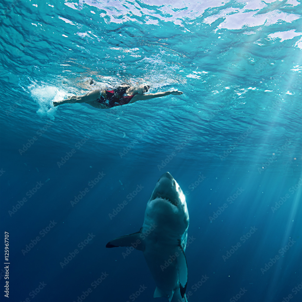 Naklejka premium Wielki biały rekin w niebieskim oceanie. Fotografia podwodna. Polowanie na drapieżniki w pobliżu powierzchni wody.