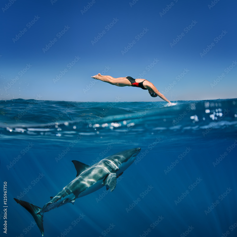 Fototapeta premium Great White Shark in blue ocean. Underwater photography. Predator hunting near water surface.