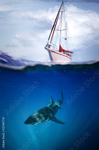 Great white shark in blue ocean under yacht