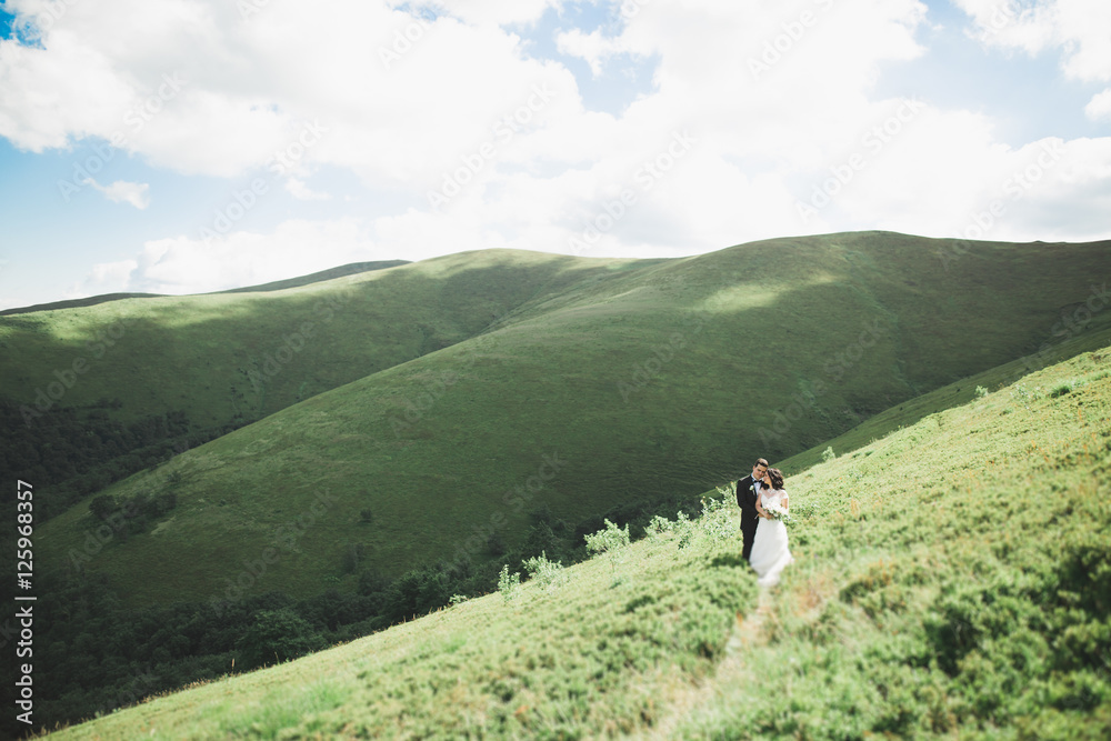 Beautiful fabulous happy bride and stylish groom posing on the background of the sunny stunning mountains