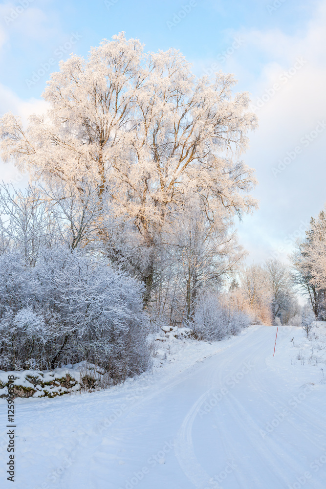 Winter road in the countryside with snow Winter road in the countryside with snow