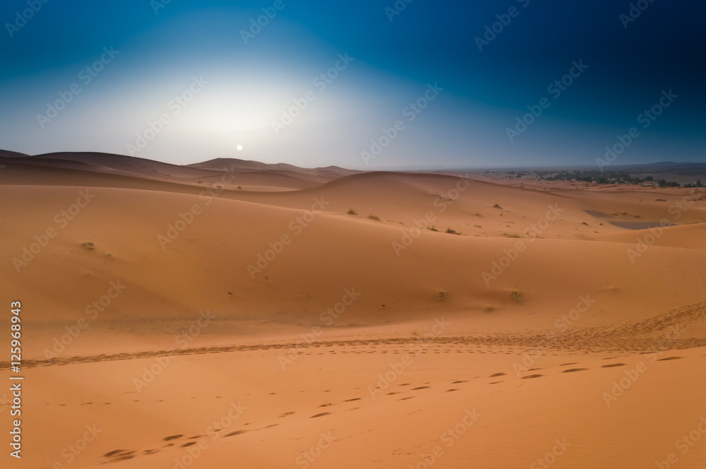 Beautiful sunrise in the Moroccan Sahara Desert, North Africa