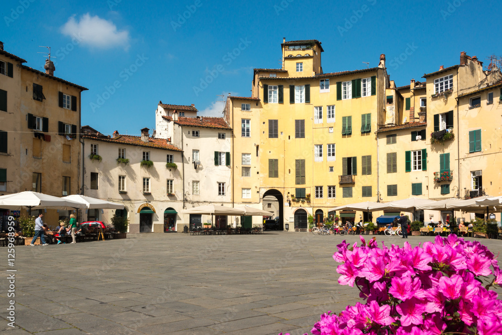 Lucca piazza anfiteatro