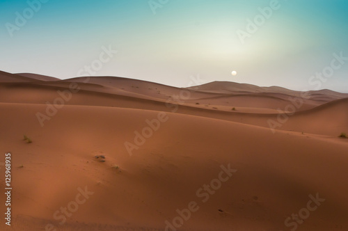 Beautiful sunrise in the Moroccan Sahara Desert, North Africa © Tudor