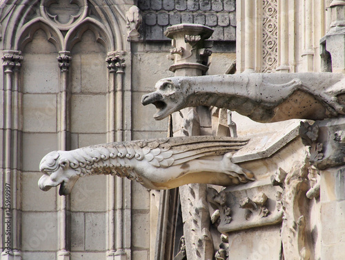 Fotografia, Obraz Gargoyles of Notre Dame Cathedral, Paris, France