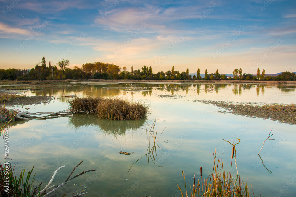 colorful sundown at swamp