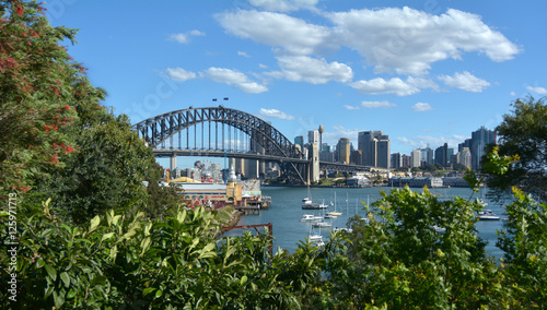 Panoramic view of Sydney skyline © Rafael Ben-Ari