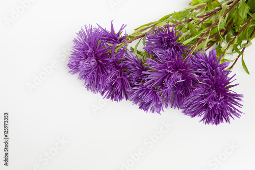 Bouquet purple flowers Aster on a white background.