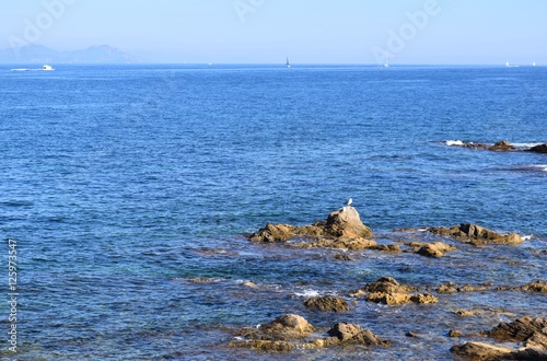 Mare e scogli nel golfo di Sait Tropez in Francia © elesco16