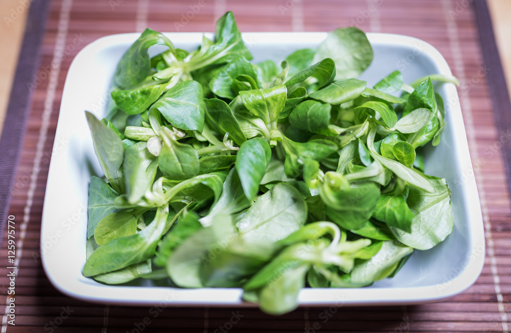 Im Bild: Frischer Feldsalat in einer weißen Schale . Im Bild: Frischer Feldsalat in einer weißen Schale .
