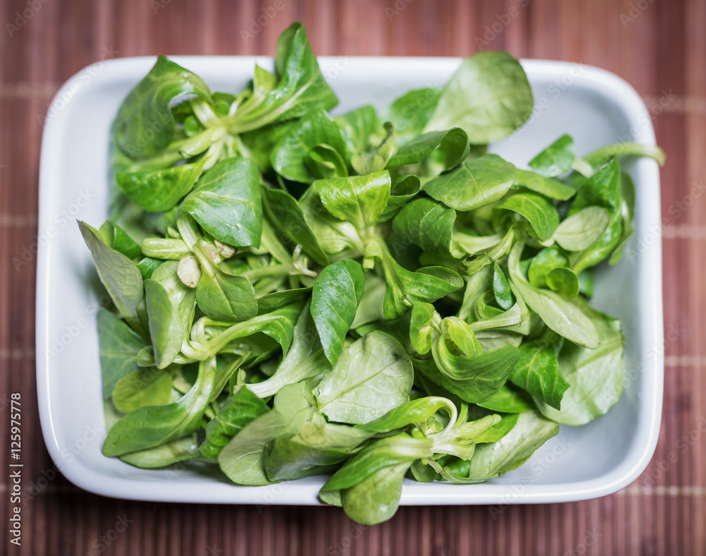 Im Bild: Frischer Feldsalat in einer weißen Schale . Im Bild: Frischer Feldsalat in einer weißen Schale .