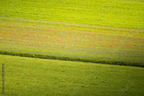 Castelluccio di Norcia