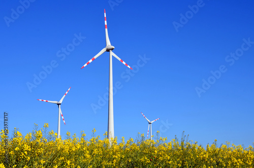 Windenergie, Windkraft, Strom
