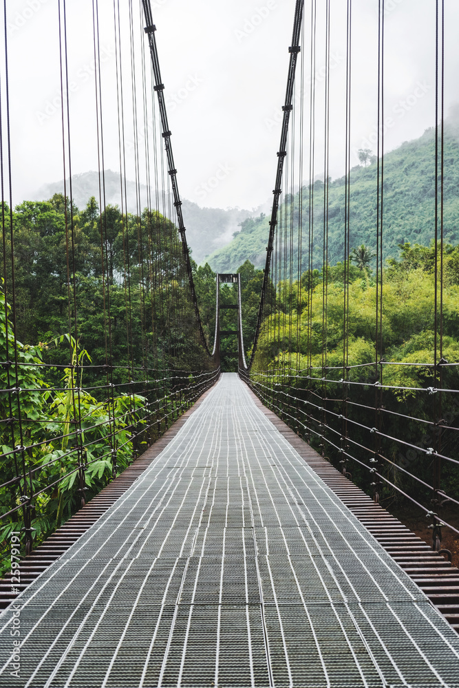 Obraz premium Steel suspension bridge, crossing the river in the woods