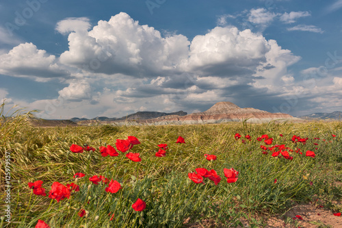 Cayirhan, Ankara, Turkey photo
