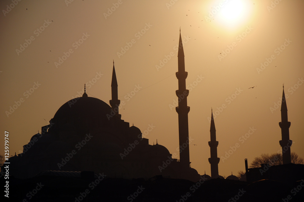The Fatih (Conqueror's Mosque) in Istanbul, Turkey.