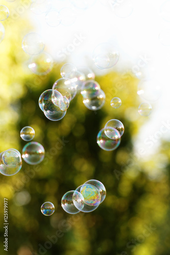 Soap bubbles