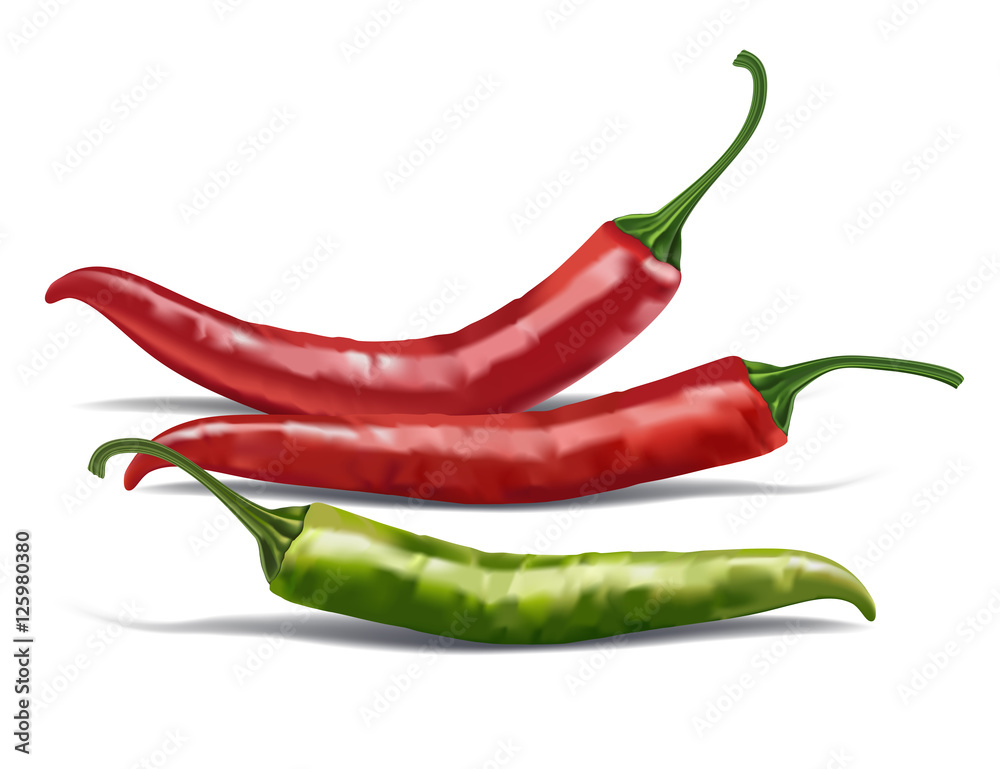 Red chili pepper isolated on white vector illustration