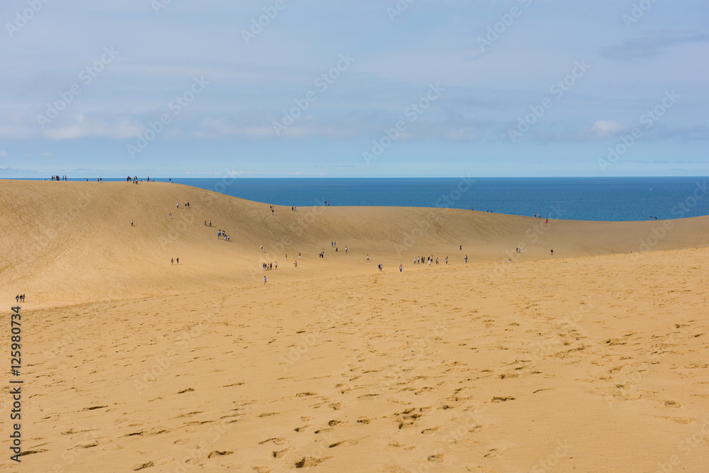 Tottori Sand Dunes