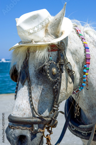 Greece photo