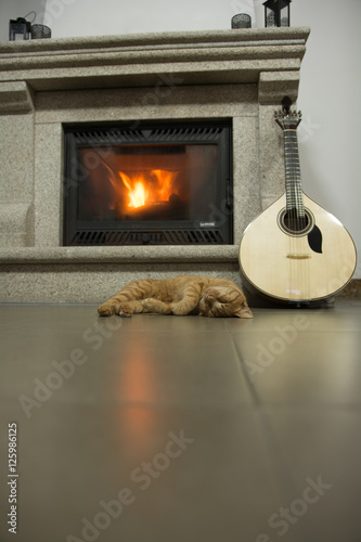 Fototapeta Naklejka Na Ścianę i Meble -  
Gato durmiendo al lado de chimenea y de guitarra portuguesa
