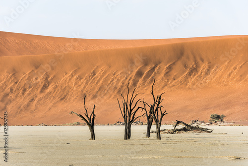 Dead dry trees of DeadVlei valley at Namib desert